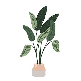 复古室内绿植布置