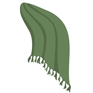 绿色复古家用毛毯设计