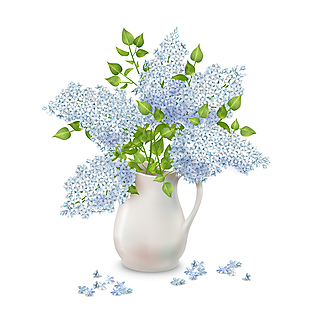 水彩绣球花插画