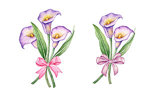 紫色马蹄花插画