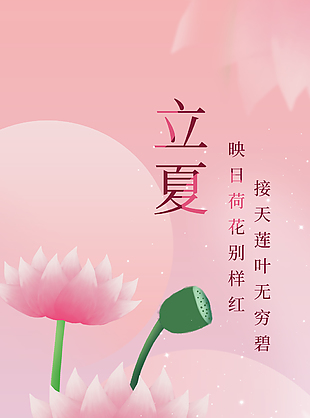 映日荷花别样红立夏简约海报