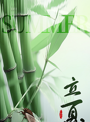 花漾夏季优雅绽放立夏竹子元素海报
