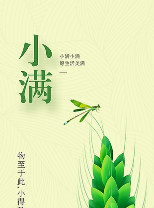 简约蜻蜓立麦上传统节气小满海报设计