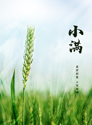小满时节麦田手绘涂鸦质感地产海报