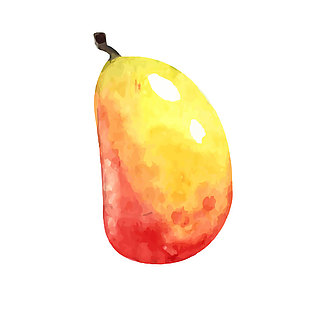 凯特芒果插画