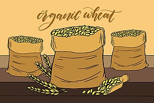 丰收的粮食稻谷插画