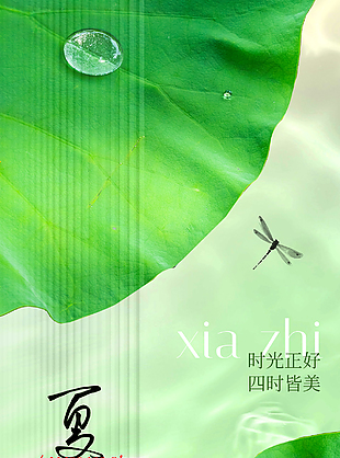 时光正好四时皆美夏至荷叶海报设计