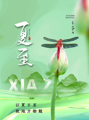 以夏日至蜻蜓手绘荷花含苞节气海报