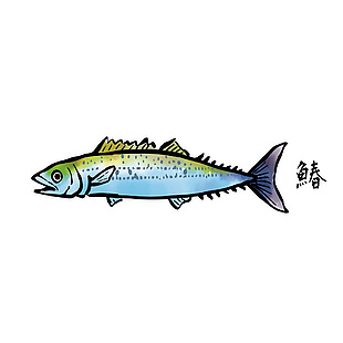 海鲜鰆鱼插画