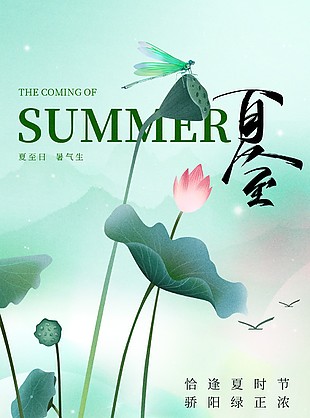 恰逢夏至荷花待放手绘莲蓬主题海报