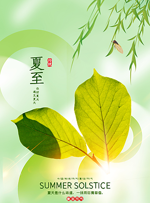 一抹雨后青草香夏至节气海报设计