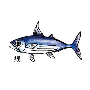 海鲜鲣鱼食材插画