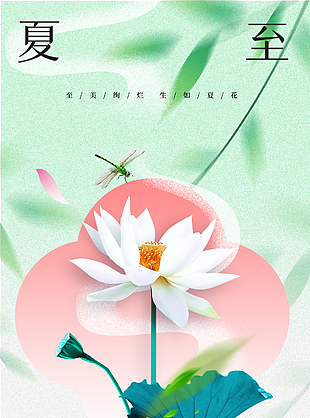 夏至节气荷塘美景主视觉清新海报