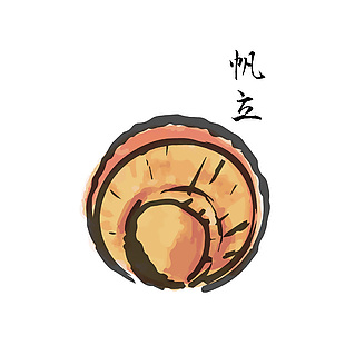 美味扇贝海鲜插画