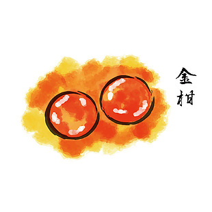 手绘金柑水果插画