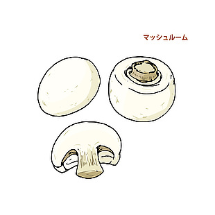 日式蘑菇食材插画