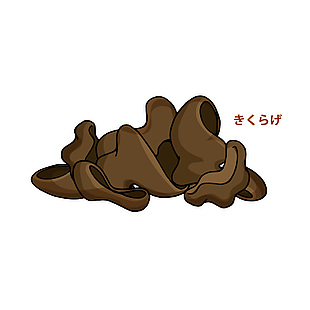 手绘木耳美食插画