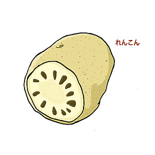 日式莲藕食材插画