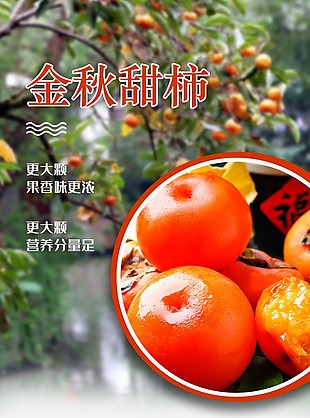 新鲜金秋甜柿淘宝电商详情页设计
