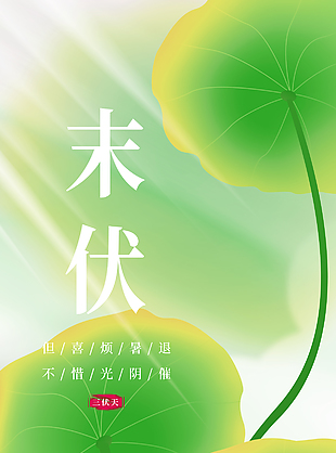 但喜烦暑退末伏清新荷叶主题海报