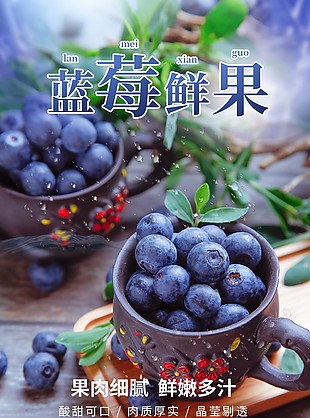 颗颗爆汁果肉细腻蓝莓淘宝电商详情页设计