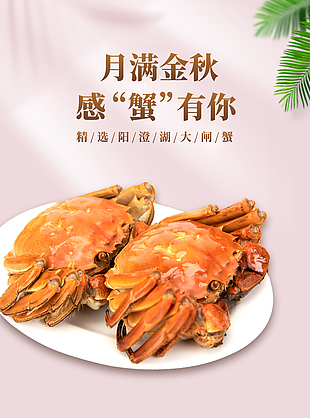 清新淡粉阳澄湖大闸蟹淘宝电商详情页下载