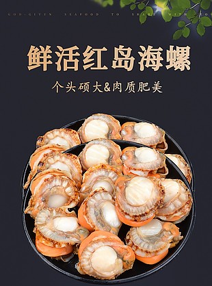 肉质肥美鲜活红岛海螺淘宝电商详情页素材