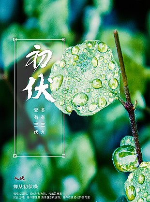 蝉从初伏躁绿色清新绿植元素海报设计