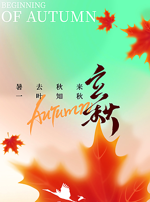 立秋时节红色枫叶主画面创意渐变海报