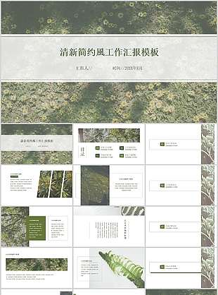 清新简约风完整框架工作汇报PPT模板