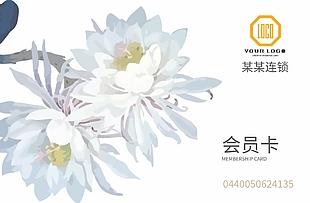 淡雅简约连锁店会员卡VIP卡