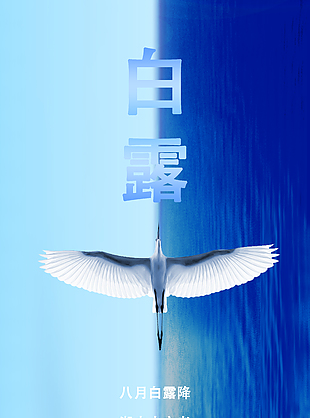 清新蓝色白露节气海报