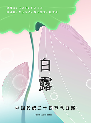 清新二十四节气白露海报