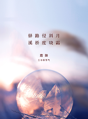 驿路侵斜月溪桥度晓霜传统节气海报