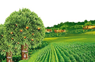 简约绿色农田苹果园场景插画