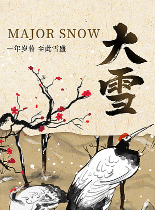 一年岁暮至此雪盛传统大雪节气海报