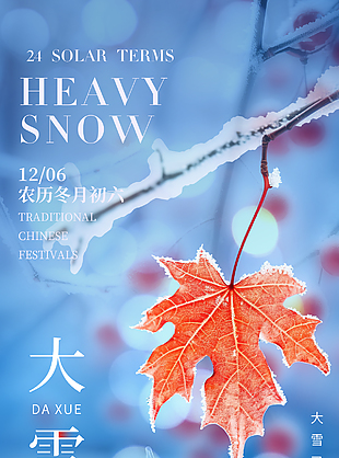 大雪已至落雪为念传统节气宣传海报