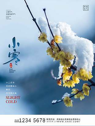 写实唯美清冷感农历二十四节气小寒海报