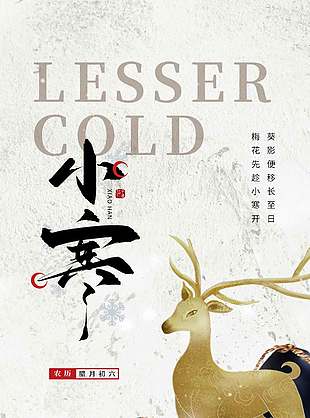 大气高端时尚传统二十四节气小寒海报