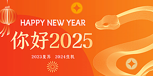 简约大气你好2025新年快乐海报