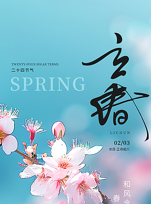立春时节桃花盛开传统节气蓝色海报
