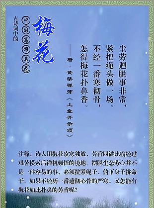 高雅名花梅花蓝色背景中国风海报