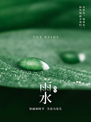斜风细雨不须归传统雨水节气海报