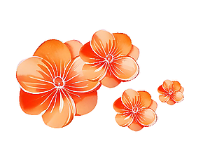 水彩手绘简约橙色花朵图案