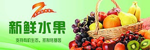 有机生态新鲜水果绿色渐变横版海报