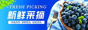 天然环境新鲜水果采摘蓝色渐变海报