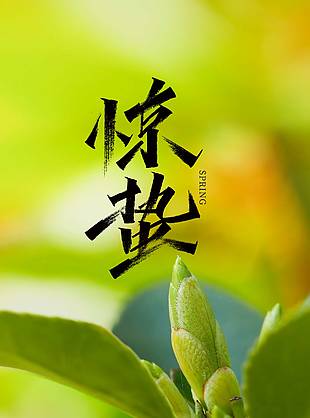 春光柔软岁月轻慢惊蛰绿色渐变海报