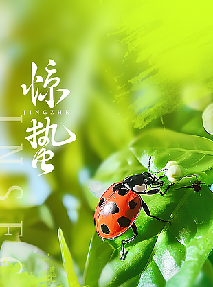 蛰伏芳华尽惊蛰万物生传统节气海报