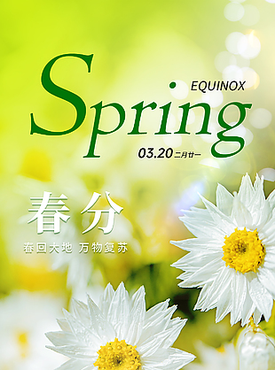 春来万物生传统春分节气主题海报