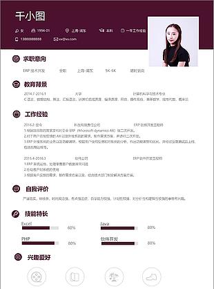 erp技术开发个人简历模板